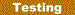 Systems Testing & Quality Assurance
